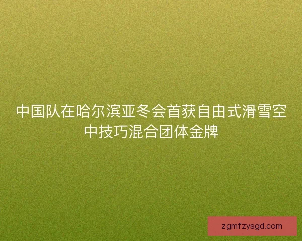 中国队在哈尔滨亚冬会首获自由式滑雪空中技巧混合团体金牌 中国队在哈尔滨亚冬会首获自由式滑雪空中技巧混合团体金牌