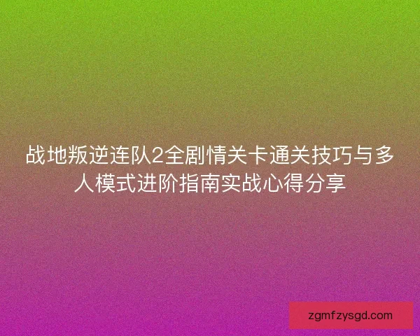 战地叛逆连队2全剧情关卡通关技巧与多人模式进阶指南实战心得分享