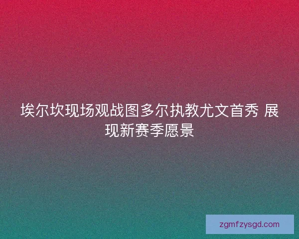 埃尔坎现场观战图多尔执教尤文首秀 展现新赛季愿景 埃尔坎现场观战图多尔执教尤文首秀 展现新赛季愿景